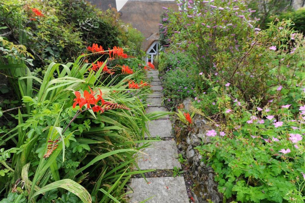 The Nest Villa Lyme Regis Exterior photo